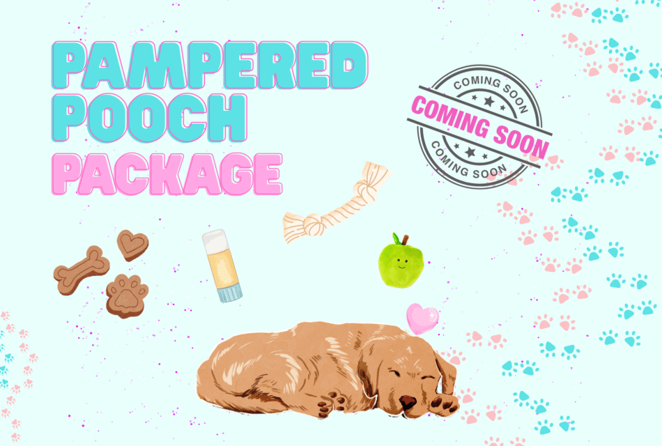Golden retriever sleeping with the Pampered Pooch Package items floating above him (a display of treats, paw balm, a rope toy and a stuffed apple) with a coming soon sign.