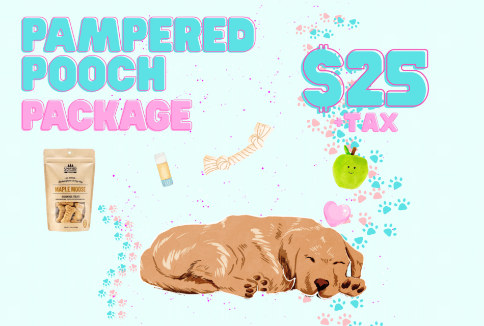 A golden retriever sleeping with items from the package floating over their head