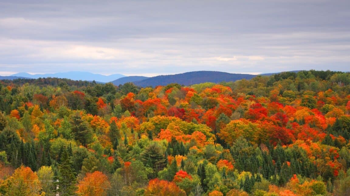 vibrant fall foliage with red orange and yellow trees covering rolling hills in vermont