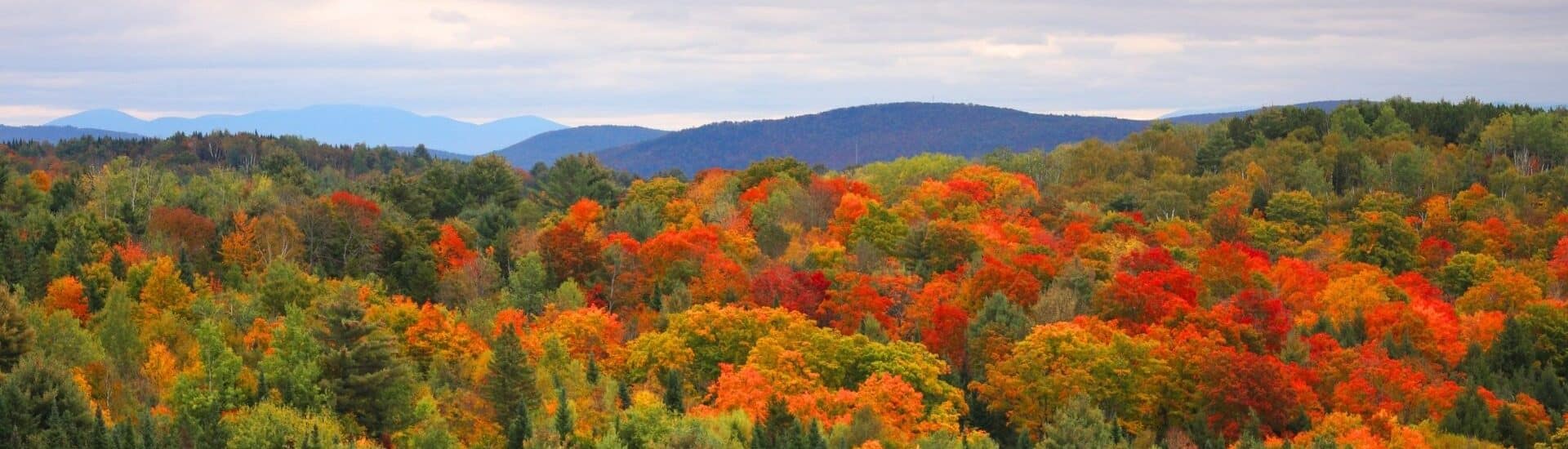 vibrant fall foliage with red orange and yellow trees covering rolling hills in vermont