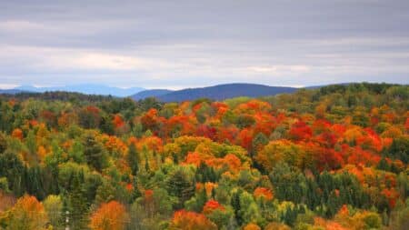 vibrant fall foliage with red orange and yellow trees covering rolling hills in vermont