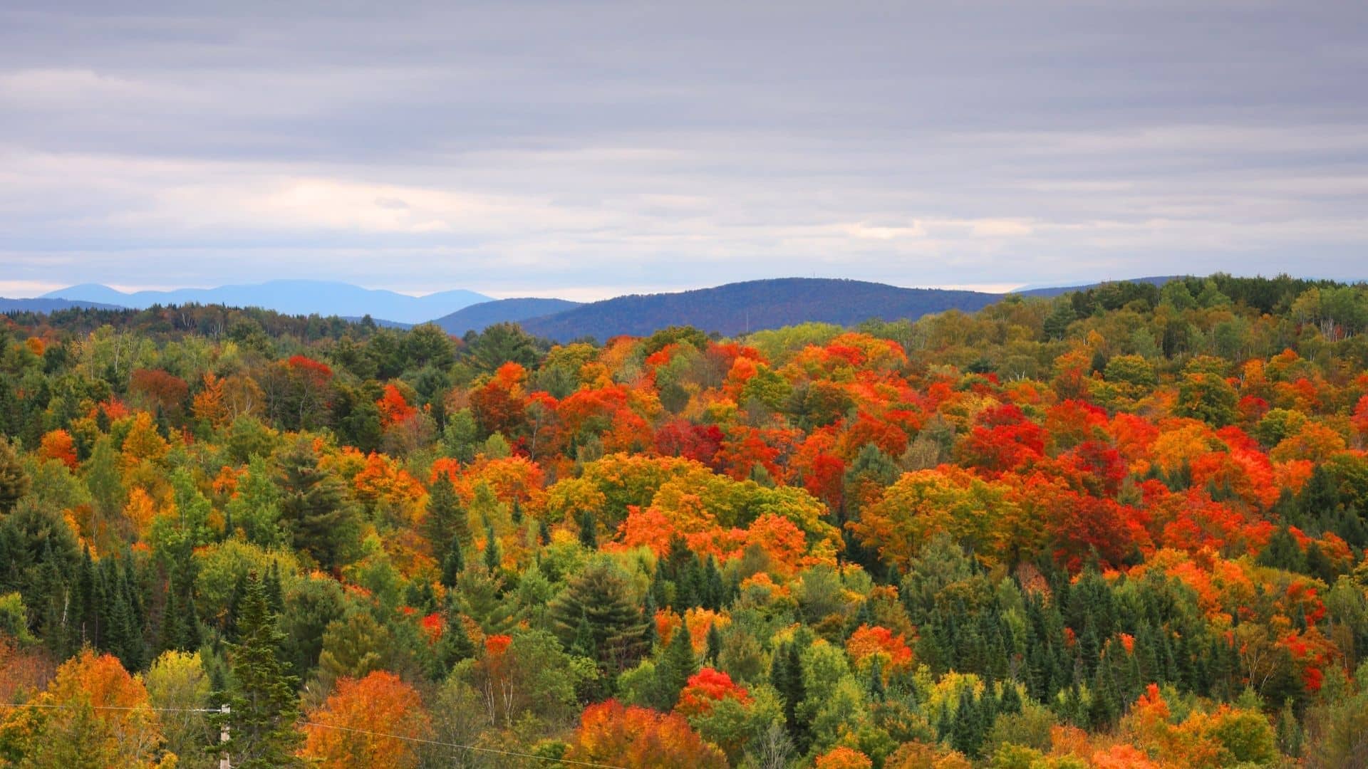 vibrant fall foliage with red orange and yellow trees covering rolling hills in vermont