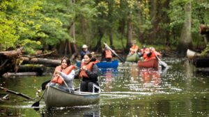 A group of people in several canoes is enjoying their river adventure as they paddle.