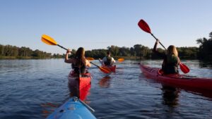A group of kayakers paddling together along a river with rented kayaks from local river adventures outfitters.
